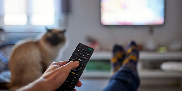 Um ano de TV CÂMARA em canal aberto